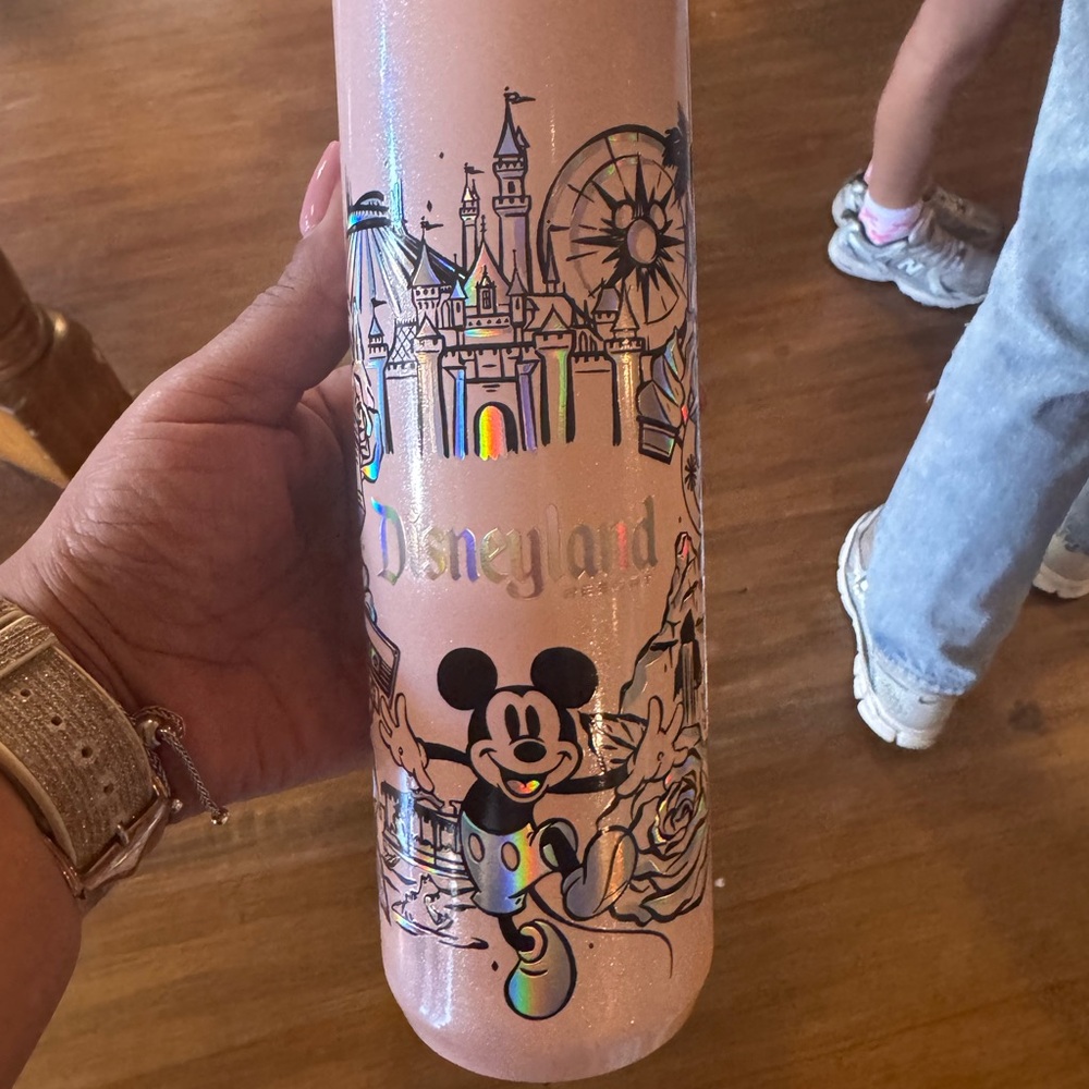 Starbucks Disneyland Tumblers